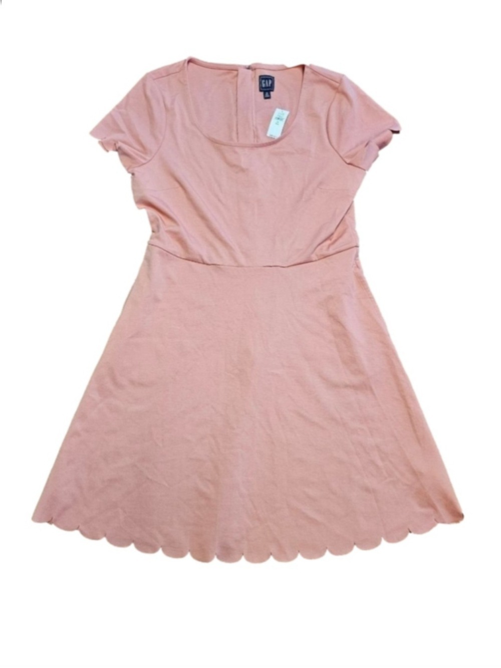 NWT Coral Gap Dress Sz 14 Tall